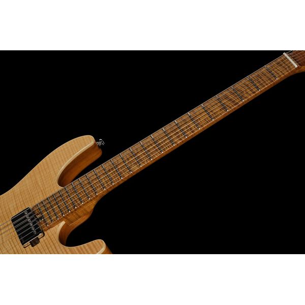 Harley Benton Fusion-IV HH MN FNT