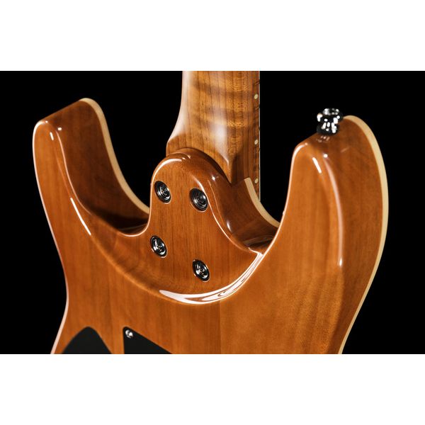 Harley Benton Fusion-IV HH MN FNT