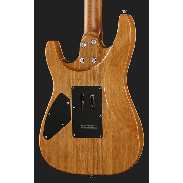 Harley Benton Fusion-IV HH MN QBLB