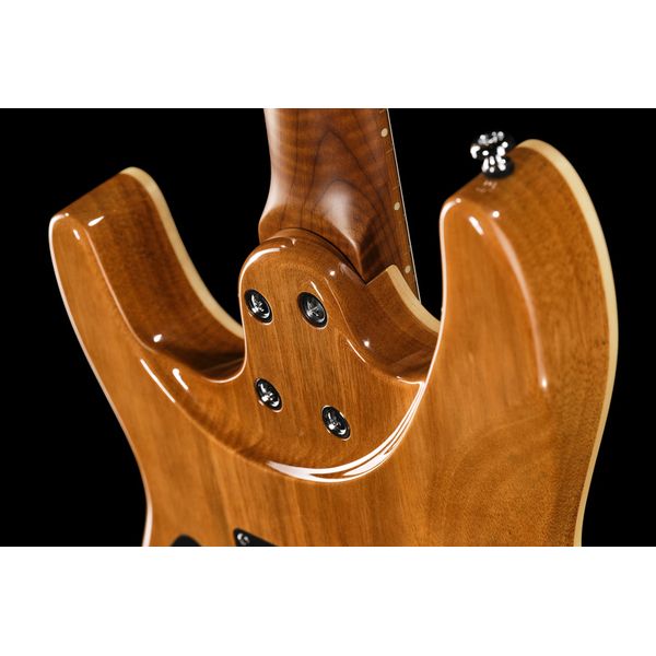 Harley Benton Fusion-IV HH MN QBLB