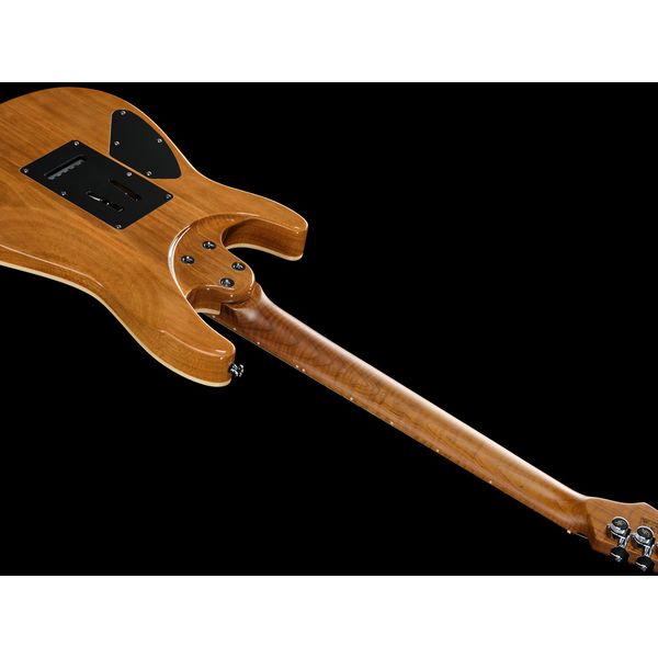 Harley Benton Fusion-IV HH MN QBLB