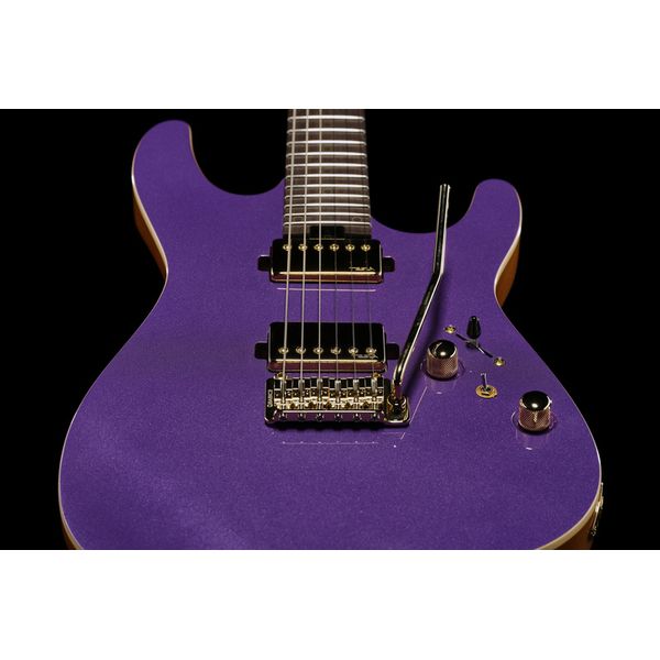 Harley Benton Fusion-IV HH RW PM