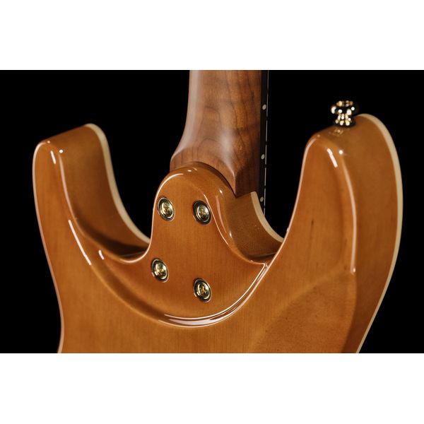 Harley Benton Fusion-IV HH RW PM