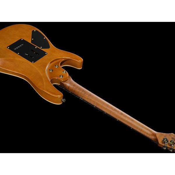 Harley Benton Fusion-IV HH RW PM