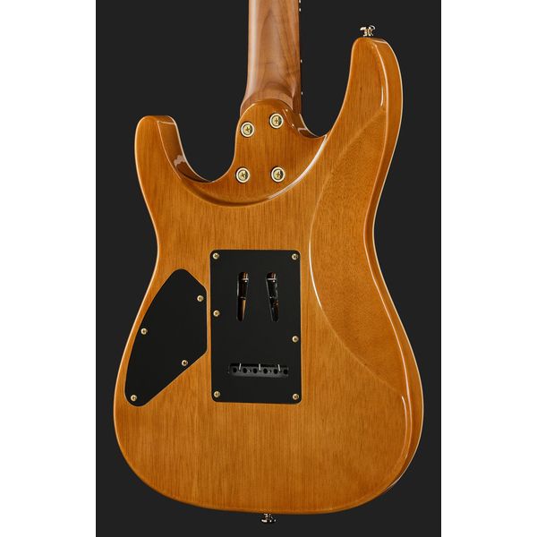 Harley Benton Fusion-IV HH RW PM