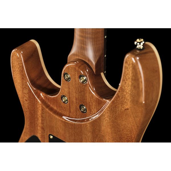 Harley Benton Fusion-IV HH RW FBB