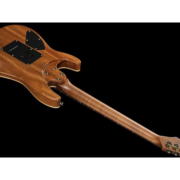 Harley Benton Fusion-IV HH RW FBB