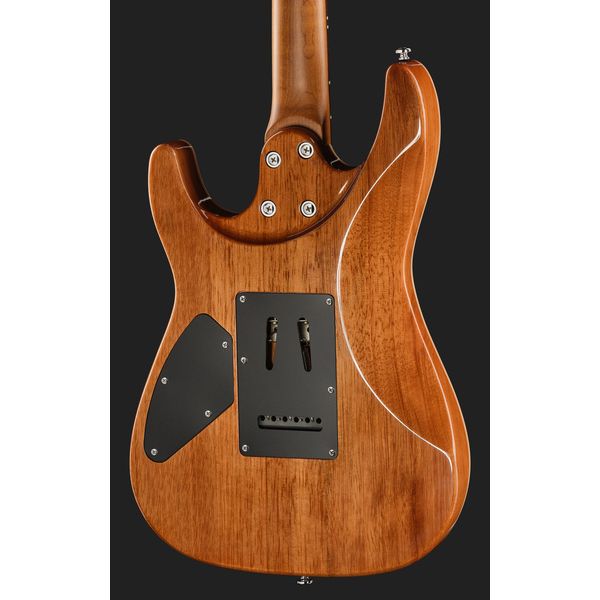 Harley Benton Fusion-IV HH RW QRG