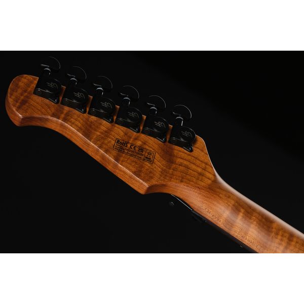 Harley Benton Fusion-IV HH RW FR BM