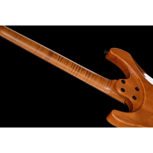 Harley Benton Fusion-IV HH RW FR WM