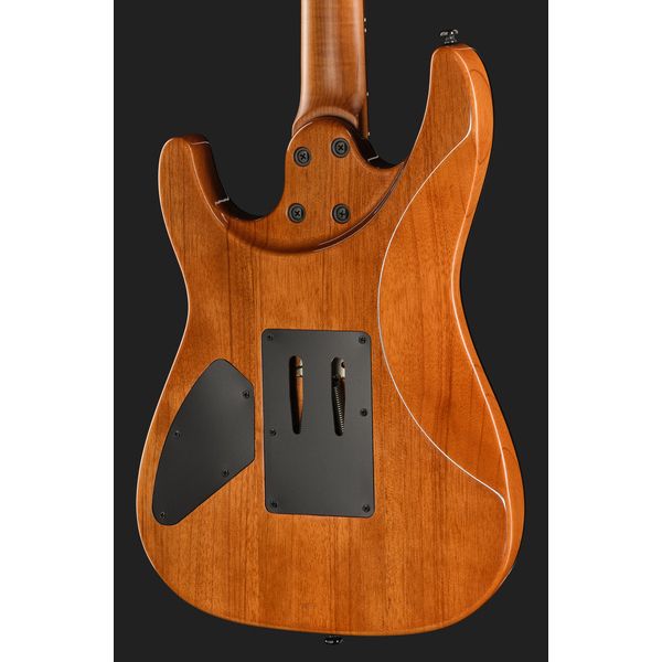 Harley Benton Fusion-IV HH RW FR WM