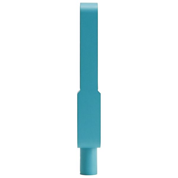 Ohma World Motif Ribbon Teal & Apricot