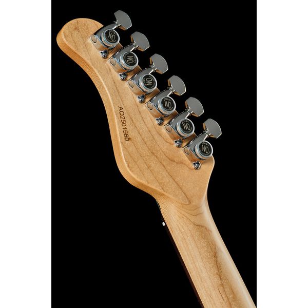 Mayones Guitars Aquila Aged V24 S 6 MMNG