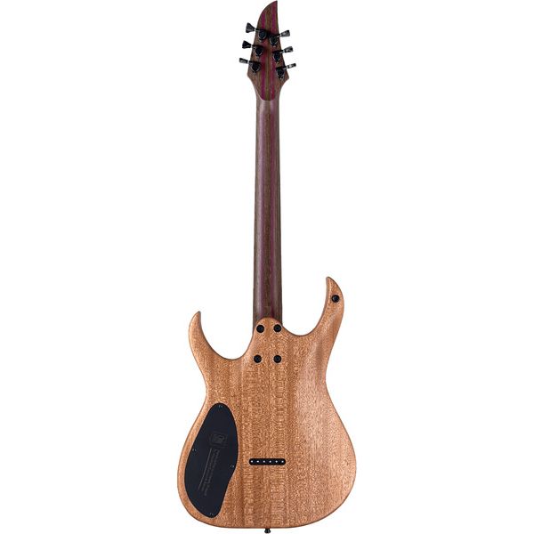 Mayones Guitars Duvell Elite 6 Ice Dragon