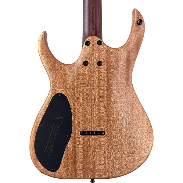 Mayones Guitars Duvell Elite 6 Ice Dragon
