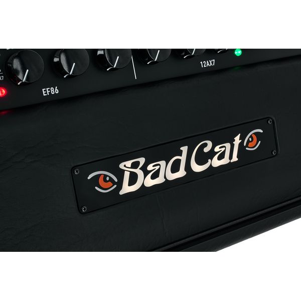 Bad Cat Era 30 Head