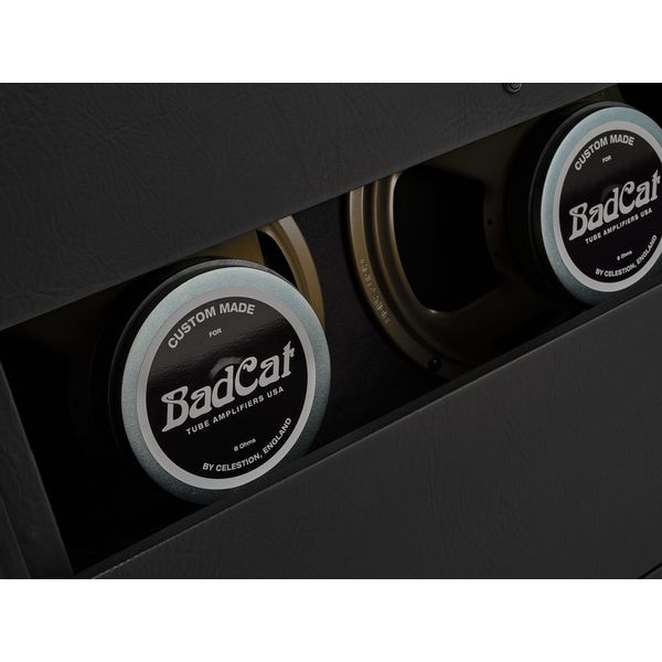 Bad Cat Era 2x12 Cabinet