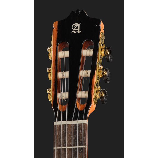 Alhambra Green Sustain Classical w/GBag