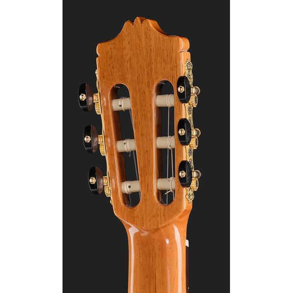 Alhambra Green Sustain Classical w/GBag