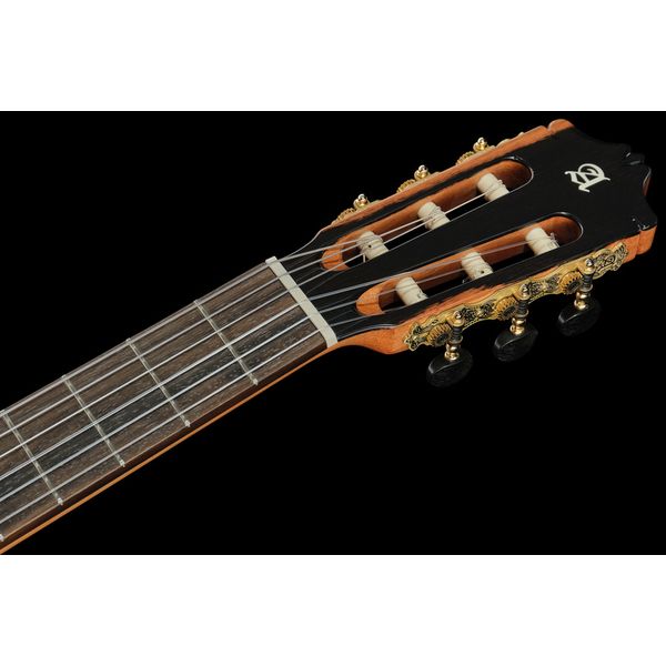 Alhambra Green Sustain Classical w/GBag