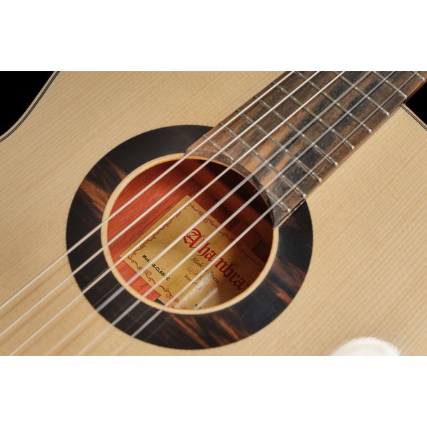 Alhambra Green Sustain Classical w/GBag