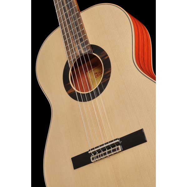 Alhambra Green Sustain Classical w/GBag