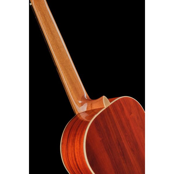 Alhambra Green Sustain Classical w/GBag