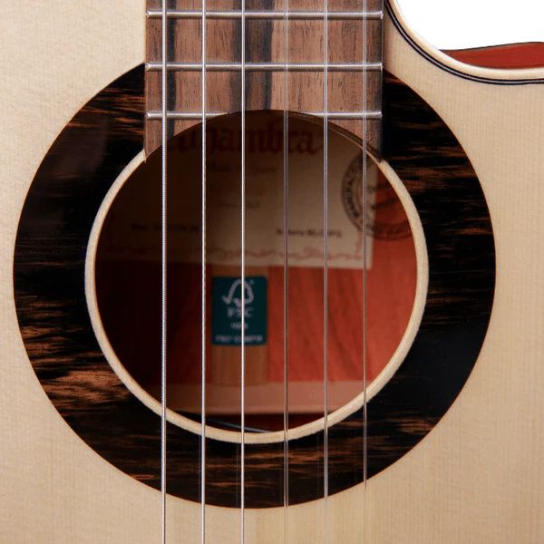 Alhambra Green Sustain Cut E8 w/Gig Bag