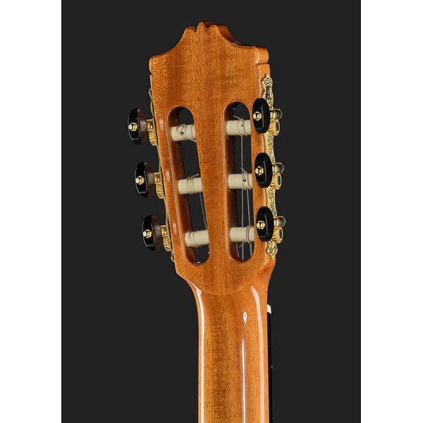 Alhambra Green Sustain Cut E8 w/Gig Bag