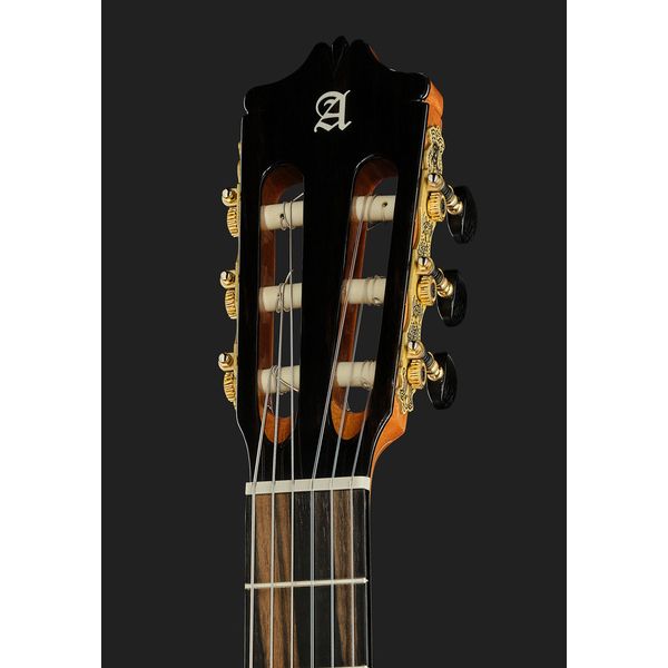 Alhambra Green Sustain Cut E8 w/Gig Bag