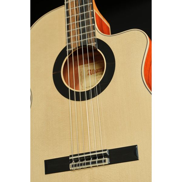 Alhambra Green Sustain Cut E8 w/Gig Bag
