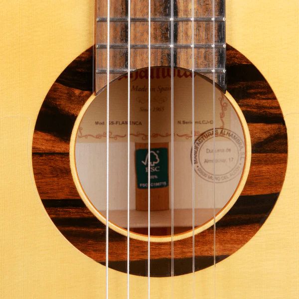 Alhambra Green Sustain Flamenco w/Bag