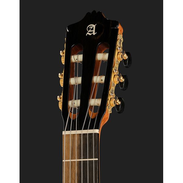 Alhambra Green Sustain Flamenco w/Bag