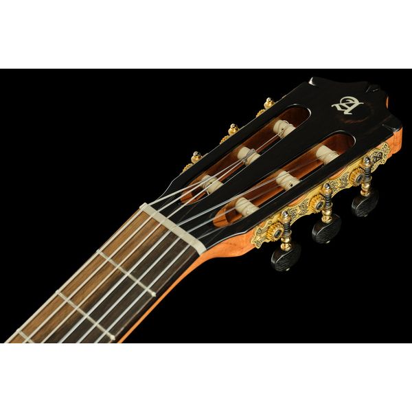 Alhambra Green Sustain Flamenco w/Bag