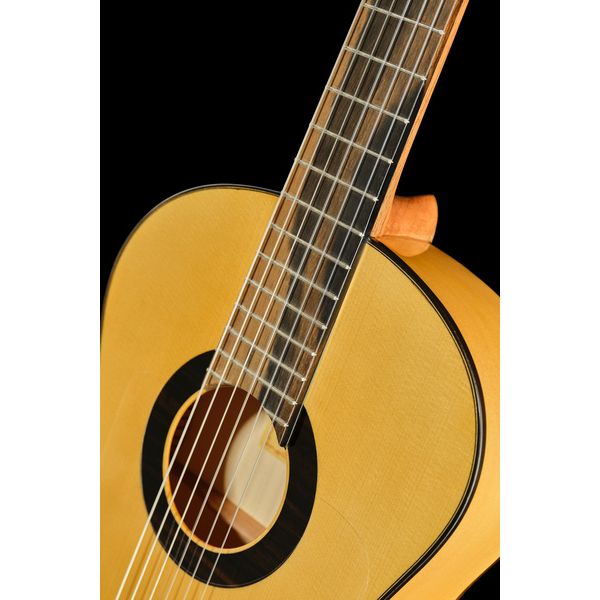 Alhambra Green Sustain Flamenco w/Bag