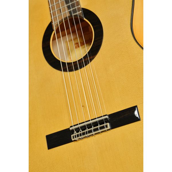 Alhambra Green Sustain Flamenco w/Bag