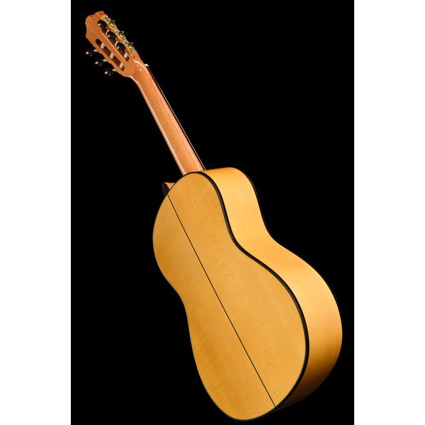 Alhambra Green Sustain Flamenco w/Bag