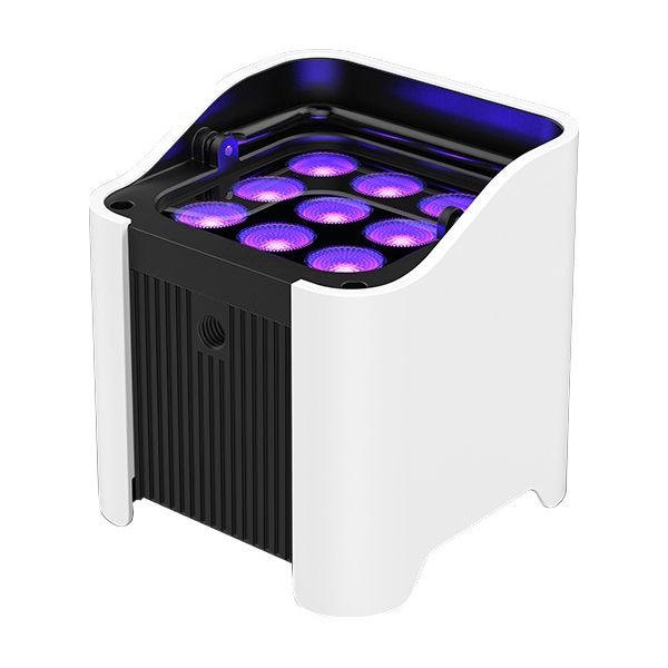 Chauvet DJ Freedom Par H9 IP