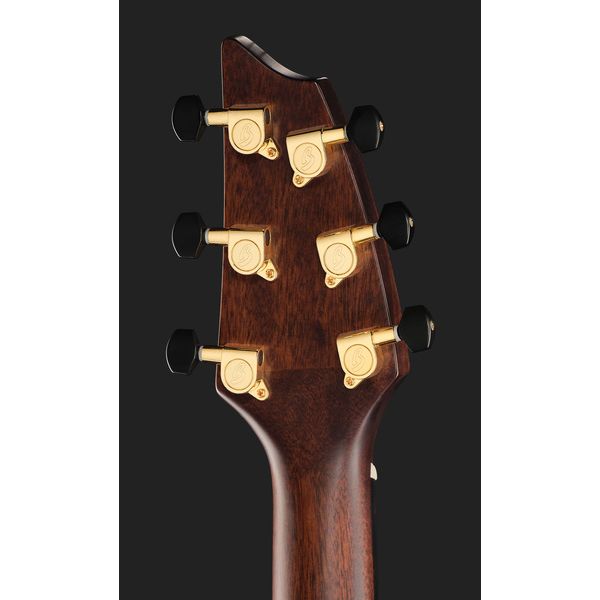 Breedlove Perf Pro Dreadn Conc AT CE