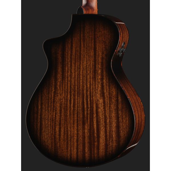 Breedlove Perf Pro Dreadn Conc AT CE