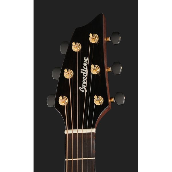 Breedlove Perf Pro Dreadn Conc AT CE