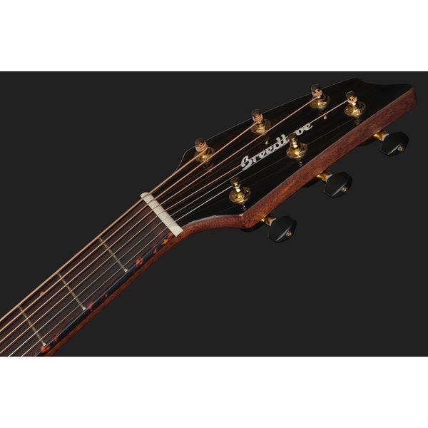 Breedlove Perf Pro Dreadn Conc AT CE