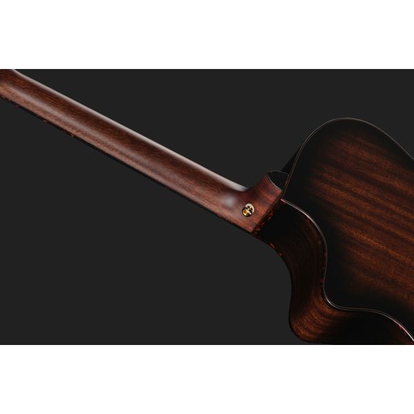 Breedlove Perf Pro Dreadn Conc AT CE