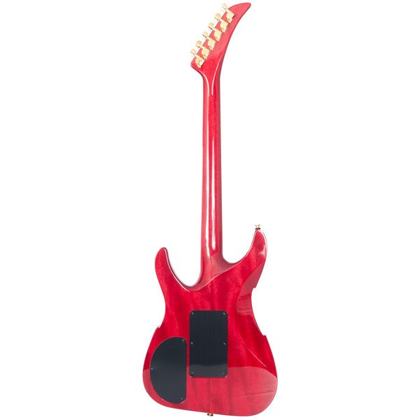 Peavey Adrian Vandenberg PFM