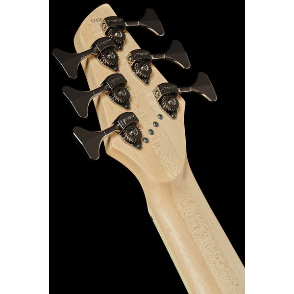 Dingwall NG3 Nolly Sig. 6 Blueberry LTD