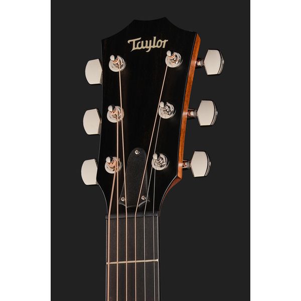 Taylor 314c The Last of Us