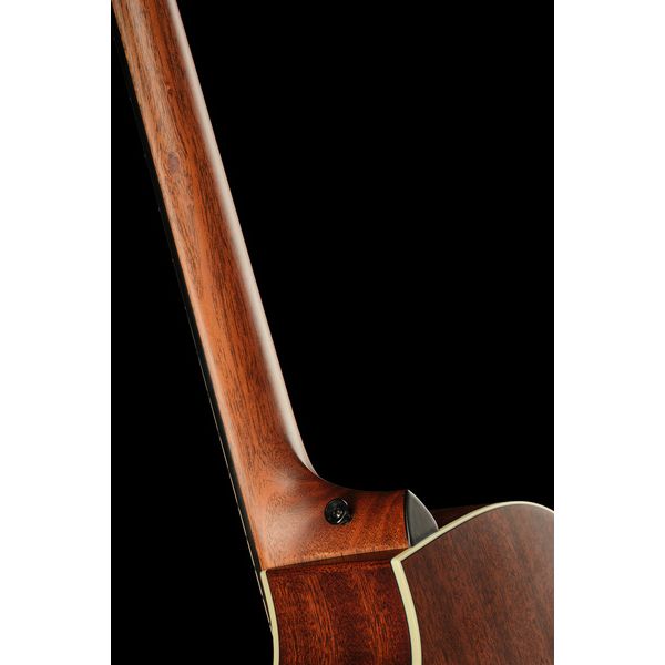 Taylor 314c The Last of Us