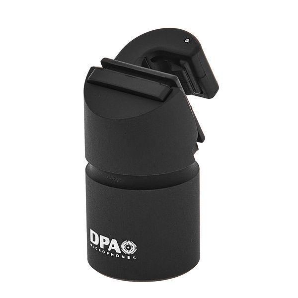 DPA MS-CLIP