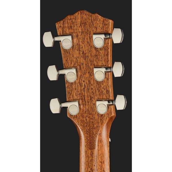 Taylor Gold Label 517e