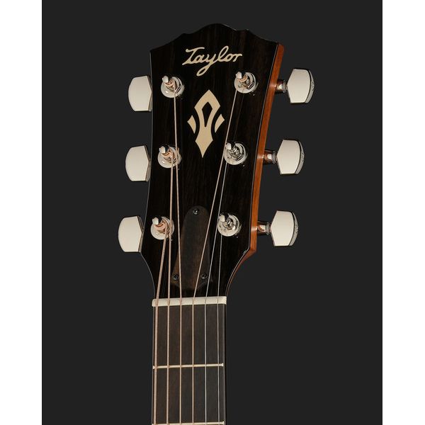 Taylor Gold Label 517e SB Cream